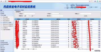 河北省食品藥品監(jiān)督管理局電子監(jiān)控系統(tǒng)弱口令安全風(fēng)險(xiǎn)與數(shù)字監(jiān)控系統(tǒng)開發(fā)中的安全策略